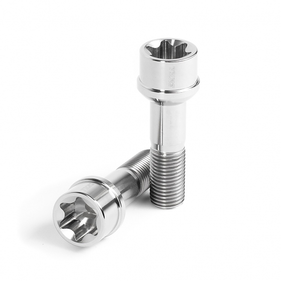 Болт 90004 SKILL ST101 сфера 14X1,5 45mm серебро HEX T80: Фото 1