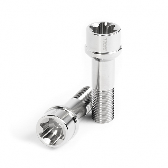 Болт 90007 SKILL ST101 сфера 15x1,25 45mm серебро HEX T80: Фото 1
