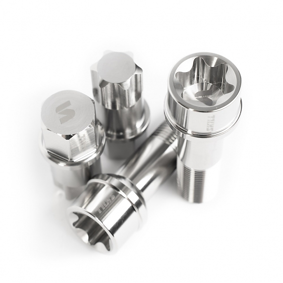 Болт 90007 SKILL ST101 сфера 15x1,25 45mm серебро HEX T80: Фото 2