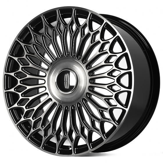 Кованые диски H240601A SL710-SL252 22 J9.5 ET44 6x135 87.1 чёрный глянцевый + полированные спицы + т: Фото 5